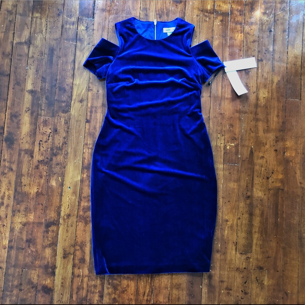 Calvin Klein Velvety Holiday Dress